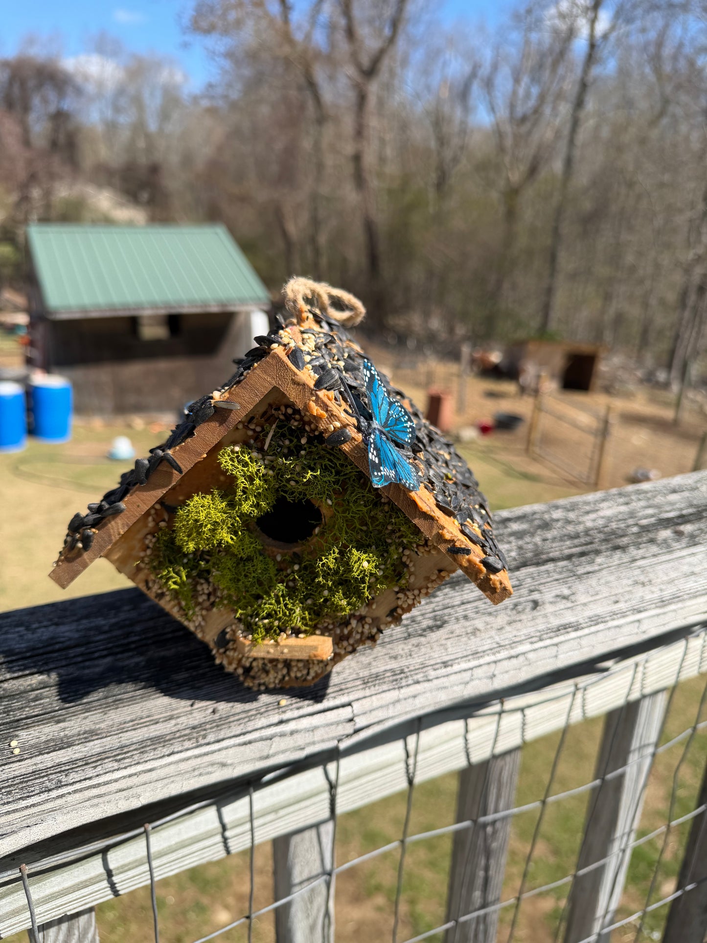 Hand Decorated Bird House