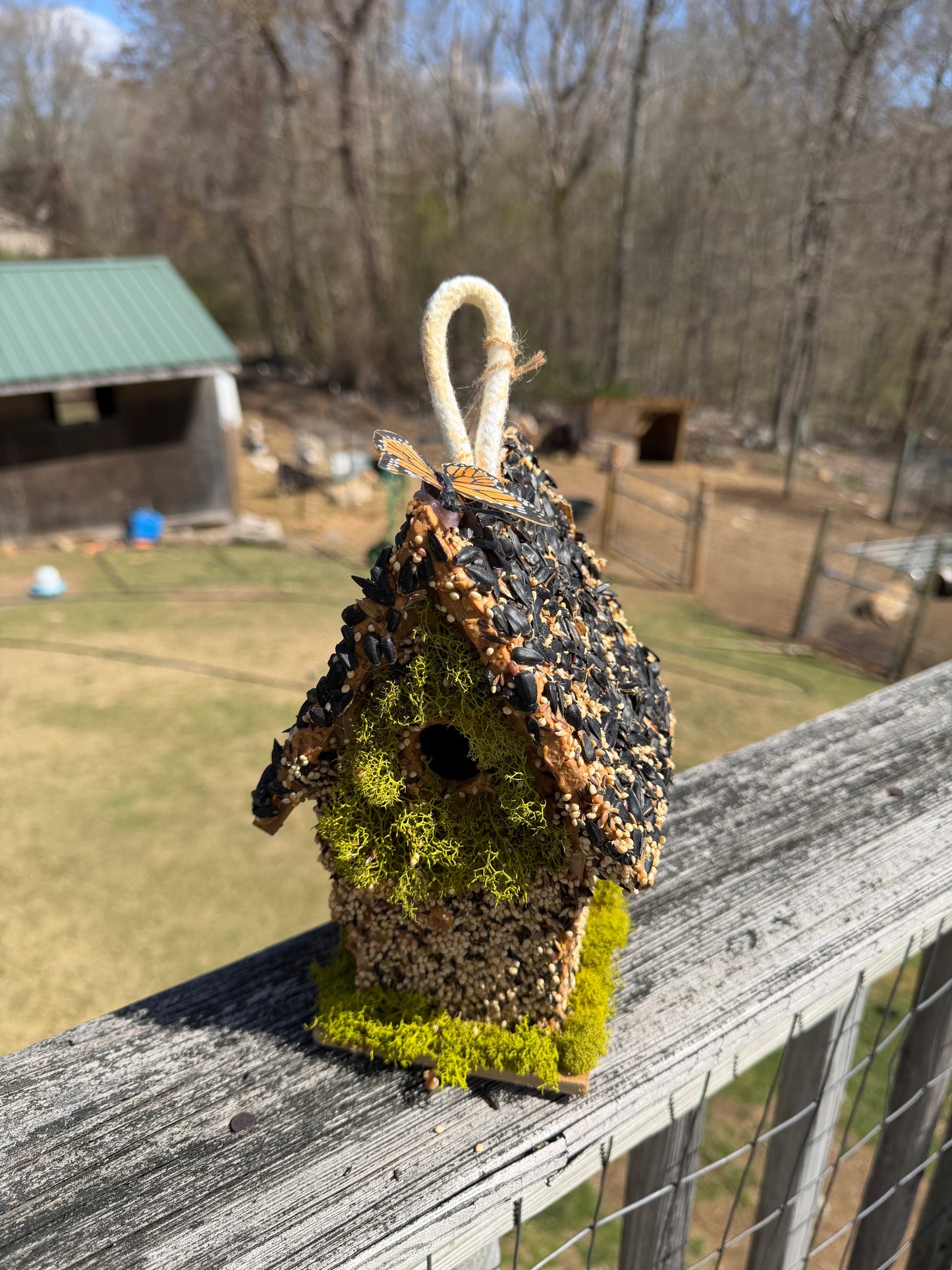 Hand Decorated Bird House