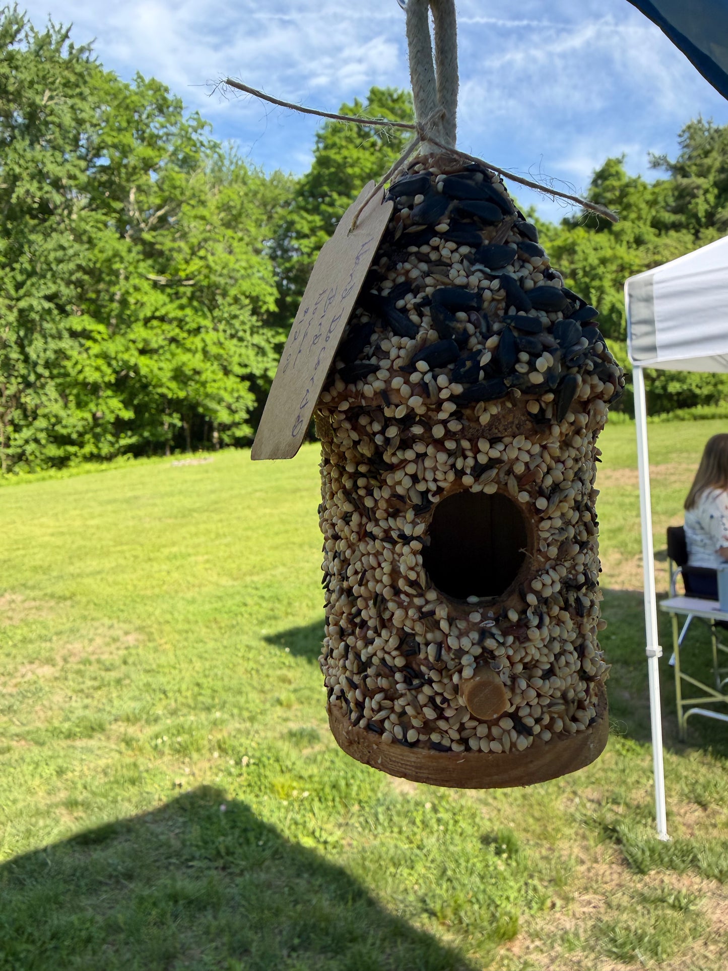 Mini Hand Decorated Bird House