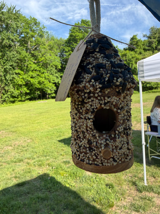 Mini Hand Decorated Bird House
