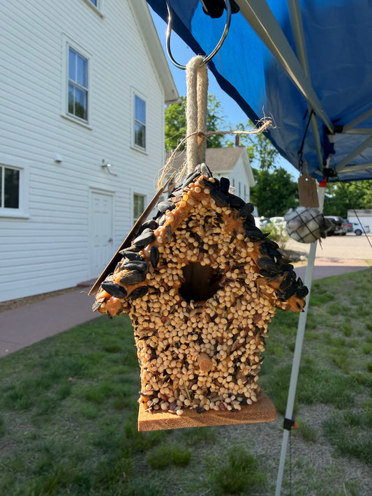 Mini Hand Decorated Bird House