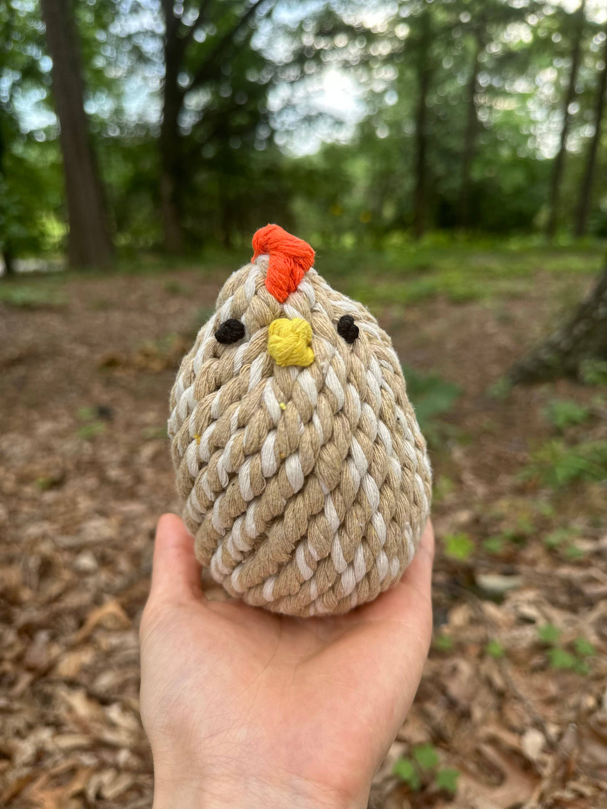 Handcrafted Chicken Rope Toys